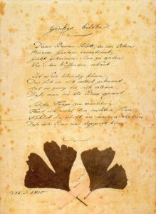 Ginkgo Goethe poem