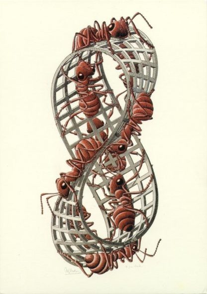 Escher, Anello di Möbius II, 1963 processione senza fine delle formiche sulla superficie dell’anello
