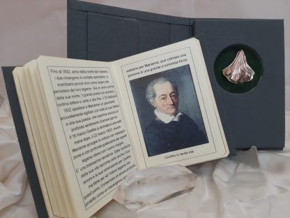 caja-de-regalo-con-libro-y-hoja-de-ginkgo-biloba